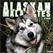 Book Alaskan Malamutes 2004 Calendar