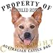 Australian Cattle Dog RED Mousepad Dog Mouse Pad Property Of