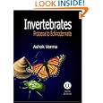 Invertebrates: Protozoa to Echinodermata