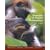 Essentials of Physical Anthropology (with InfoTrac)