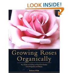 Growing Roses Organically: Your Guide to Creating an Easy-Care Garden Full of Fragrance