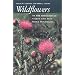 Wildflowers of the Shenandoah Valley and Blue Ridge Mountains