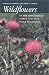 Book Wildflowers of the Shenandoah Valley and Blue Ridge Mountains