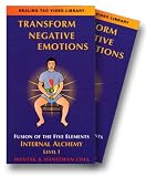 Fusion of the Five Elements Level I: Transform Negative Emotions [VHS]