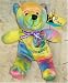 Pittsburgh Pennsylvania Tie Dyed Beanie Teddy