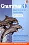 Grammar Games & Activities 1 (Penguin English photocopiables)