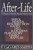 AfterLife: A Glimpse of Eternity Beyond Death's Door