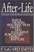 AfterLife: A Glimpse of Eternity Beyond Death's Door