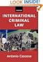 International Criminal Law