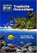 Discover The Blue - Tropische Meerestiere