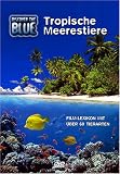 Eigenschaften Artifishal Productions  / Discover The Blue - Tropische Meerestiere