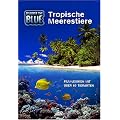 Discover The Blue - Tropische Meerestiere
