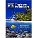 Discover The Blue - Tropische Meerestiere