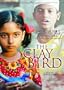 The Clay Bird