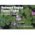 Redwood Region Flower Finder: A Guide to Identifying Wildflowers of the Coastal Fog Belt of California