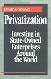 Privatization: Investing in State-Owned Enterprises Around the World