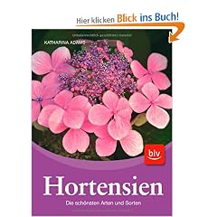 Hortensien: Die sch�nsten Arten und Sorten