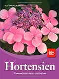 Hortensien: Die sch&ouml;nsten Arten und Sorten - Katharina Adams