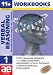 11+ Verbal Reasoning