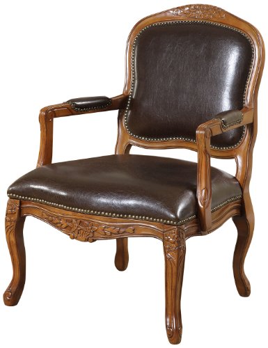 Williams Home Furnishing Traditional Studded Occasional Chair from