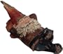 Terrapin Trading Gnome - Winks