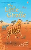 The little giraffe