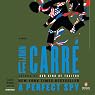A Perfect Spy: A Novel