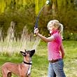 Ballschleuder TENNIS LAUNCHER 64cm
