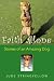 Faith Alone: Stories of an Amazing Dog