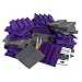 Auralex D36CHA/PUR Designer Series Roominator Kit: 18-DST 1'x1'x2 DST112 Panels- Charcoal; 18-1'x1'x2 DST114 Panel- Purple; 2-Tubes of Tubetak Pro