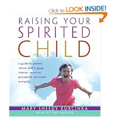 Raising Your Spirited Child