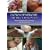 Down Syndrome: The First 18 Months