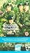 Video : Soldier Soldier - Series 7 - Part 2 [UK IMPORT]