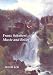 Book Franz Schubert: Music and Belief