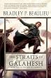 The Straits of Galahesh: Book Two of The Lays of Anuskaya