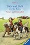 Dick und Dalli und die Ponys: Ferien auf Immenhof