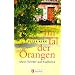 Im Tal der Orangen: Mein Winter auf Mallorca