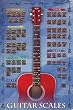 Guitar Scales POSTER Learn How to Play Chords Blues etc - 24x36