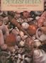 Seashells a Photographic Celebration of Seaside Collectibles