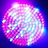 51V5J4btbyL. SL160  High Power LED Grow Light Bulb   screw fitting   RED and Blue