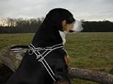 Eigenschaften Limex  / Hundegeschirr Reflex 60-70 Limex, schwarz