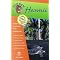 experience Hawaii?