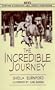 The Incredible Journey