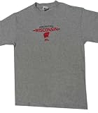 Wisconsin Badgers NCAA Grey Adult T-Shirt