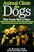 Animal Clinic for Dogs: What People Want to Know