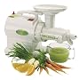 Green Star GS-1000 Juice Extractor