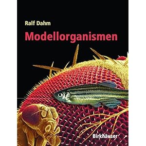 Modellorganismen