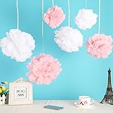 12pcs Mixed 3 Sizes White Pink Tissue Paper Pom Poms Flower Wedding Party Baby Girl Room Nursery Decoration