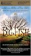 Big Fish (Dol Slip)