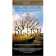 Big Fish (Dol Slip)